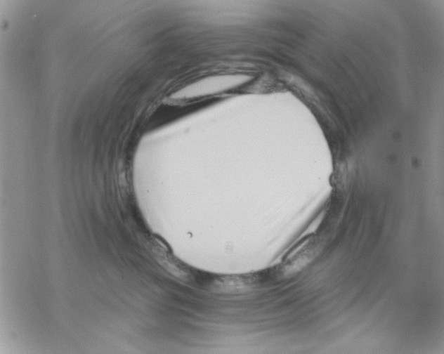 X0000069830381200606091452