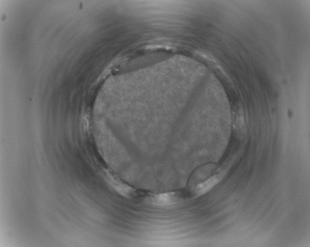 X0000069830382200606091452