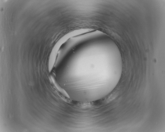 X0000069830384200606091452