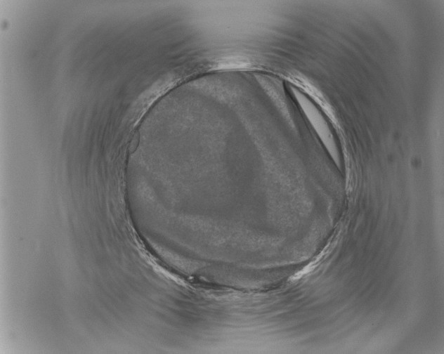 X0000069830385200606091451