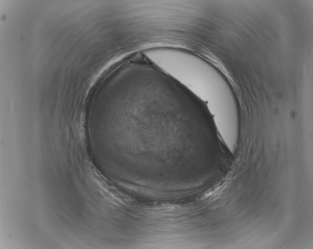 X0000069830387200606091451