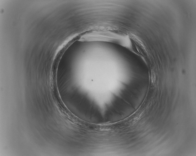 X0000069830388200606091451