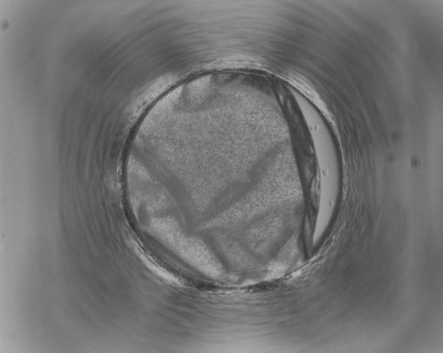 X0000069830389200606091451