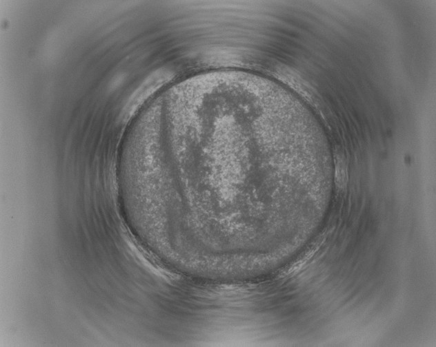 X0000069830390200606091451