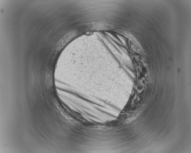 X0000069830393200606091451