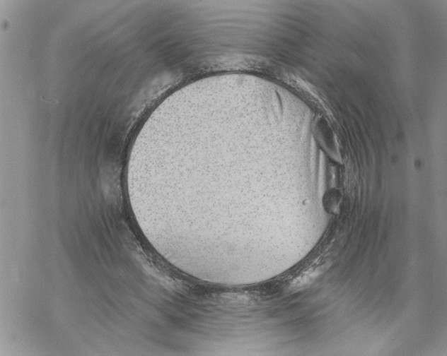 X0000069830394200606091451