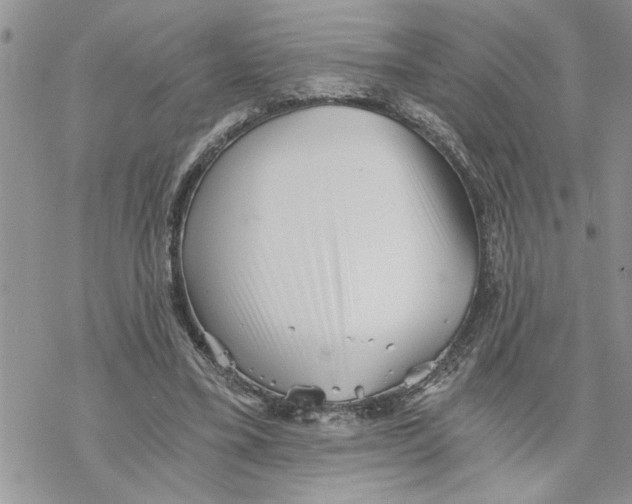 X0000069830395200606091451