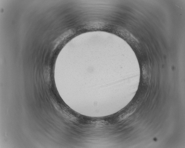 X0000069830396200606091451