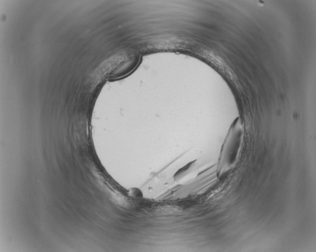 X0000069830397200606091451