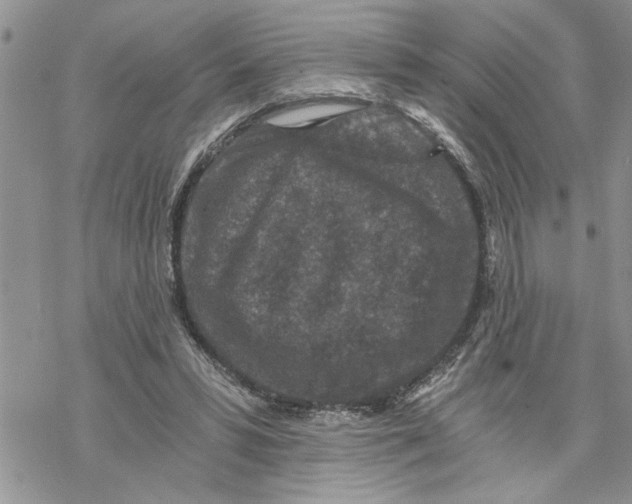 X0000069830399200606091451