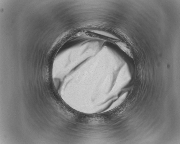 X0000069830400200606091451