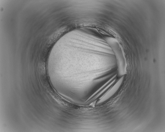 X0000069830401200606091451