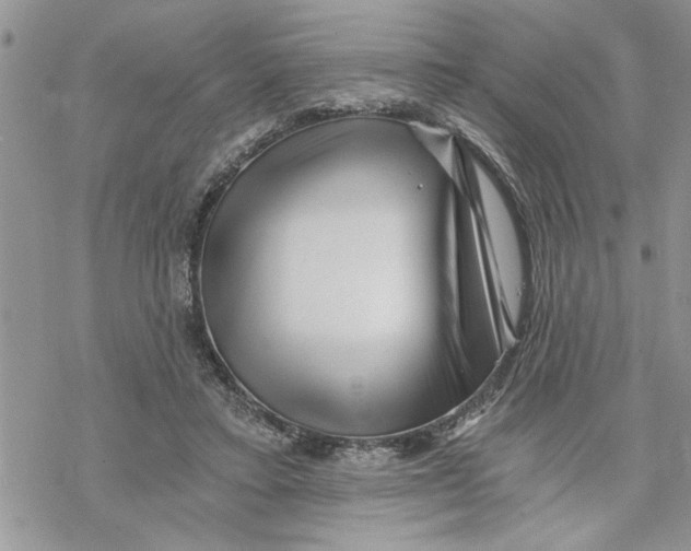 X0000069830403200606091451