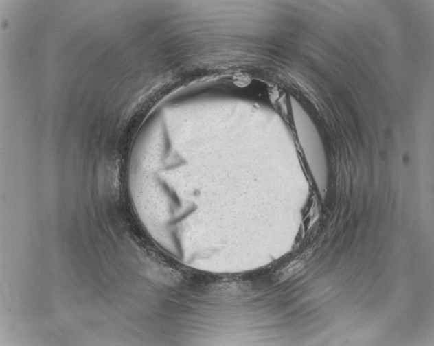 X0000069830404200606091451