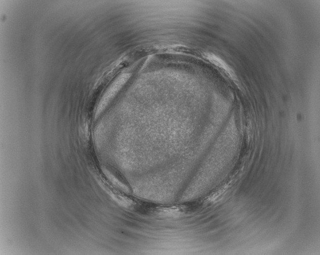 X0000069830405200606091451