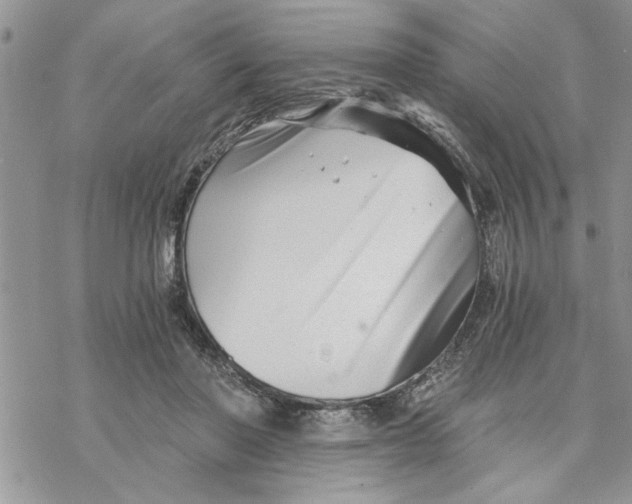 X0000069830406200606091451