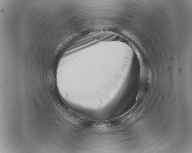 X0000069830407200606091451