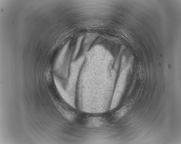 X0000069830408200606091451