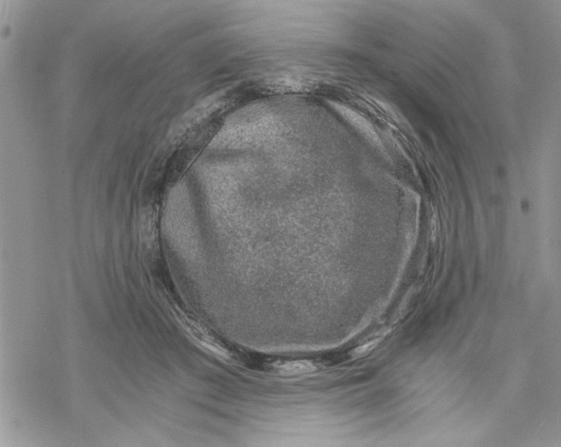 X0000069830409200606091451