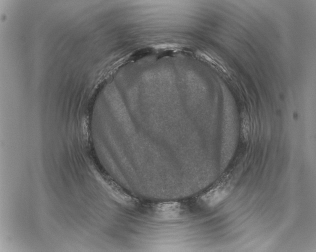 X0000069830410200606091451