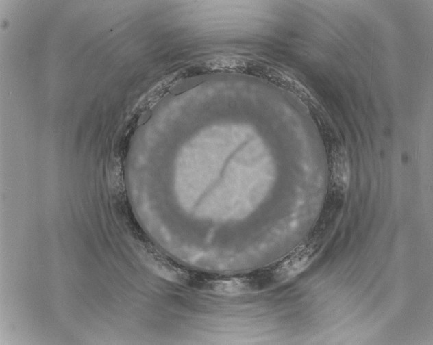 X0000069830411200606091451