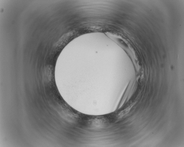 X0000069830412200606091451