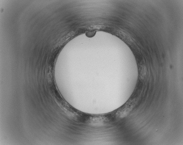 X0000069830414200606091451