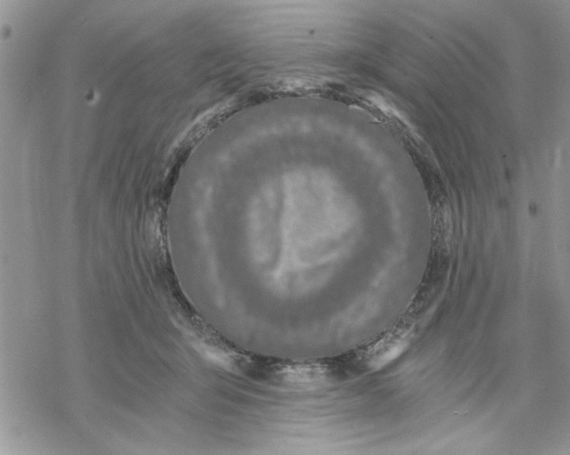 X0000069830415200606091451