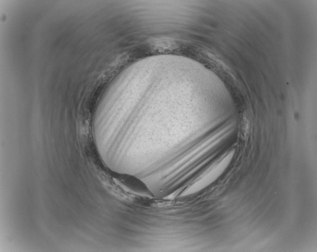 X0000069830417200606091450