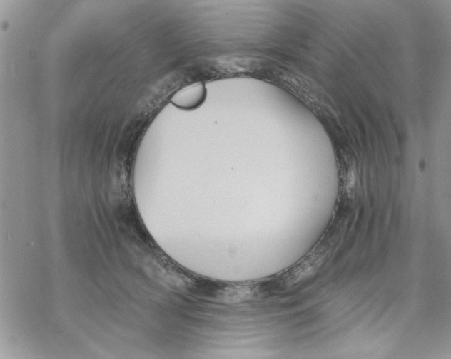 X0000069830418200606091450