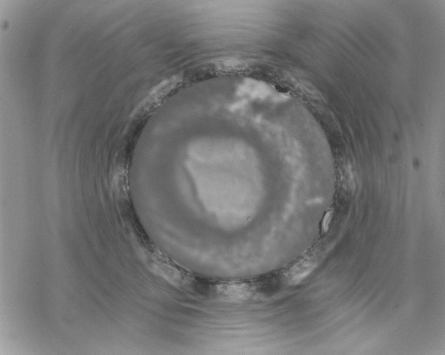 X0000069830419200606091450