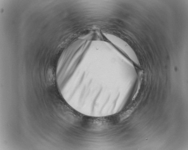 X0000069830420200606091450