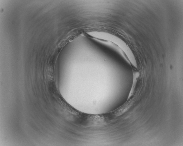 X0000069830421200606091450