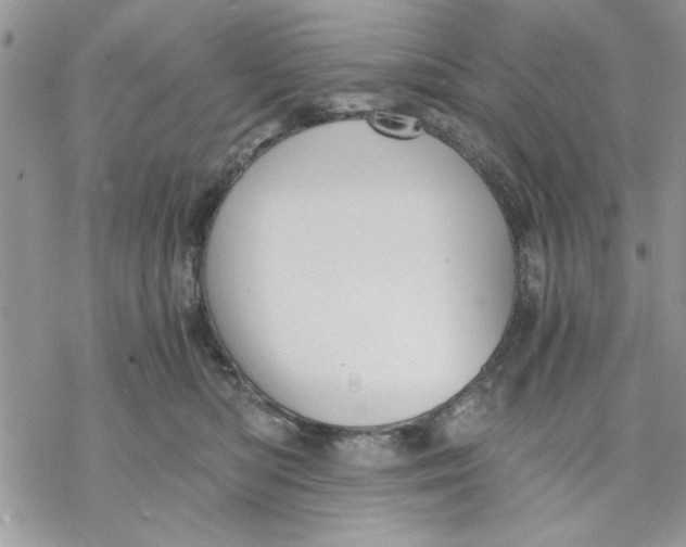 X0000069830422200606091450