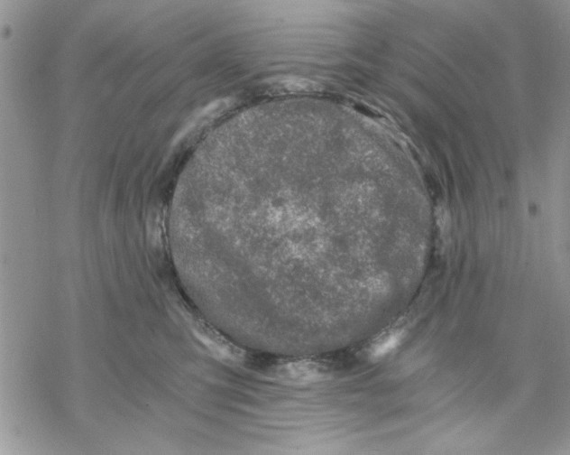 X0000069830423200606091450