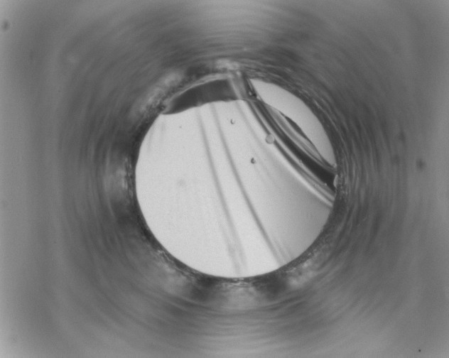 X0000069830424200606091450