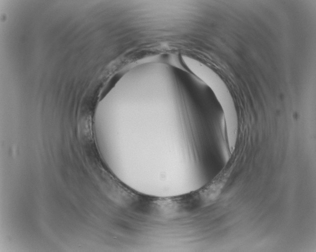 X0000069830425200606091450