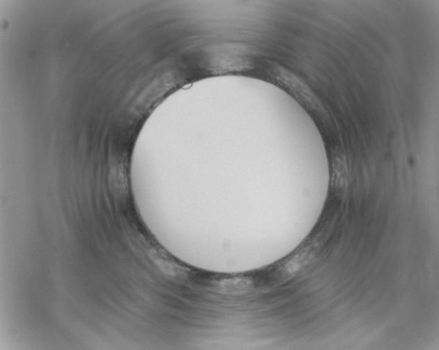 X0000069830426200606091450