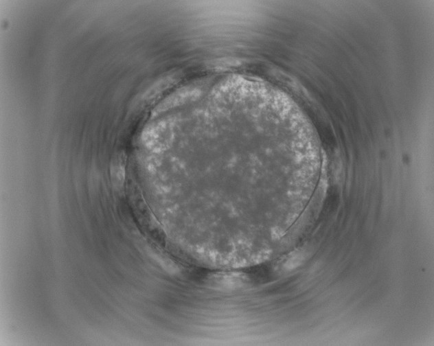 X0000069830427200606091450