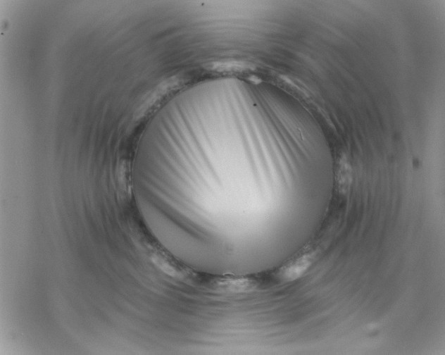 X0000069830428200606091450