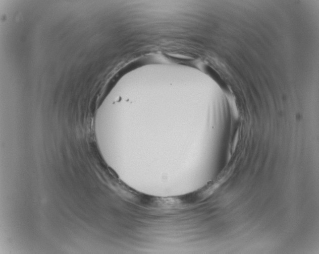 X0000069830429200606091450