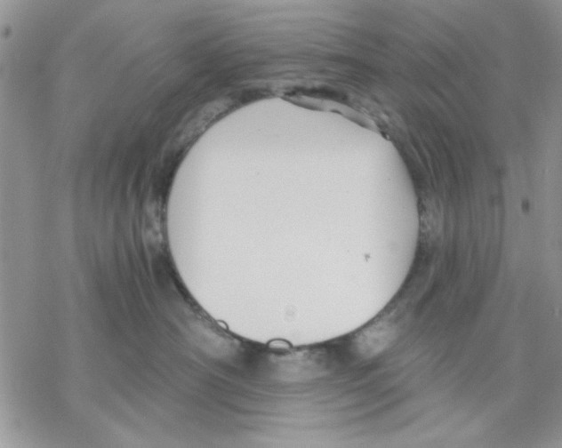 X0000069830430200606091450