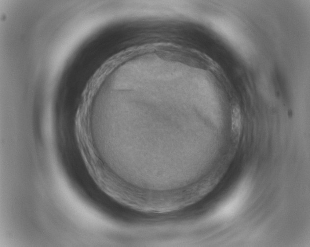 X0000069830431200606091450