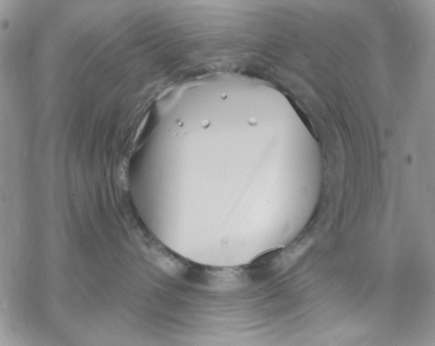 X0000069830432200606091450