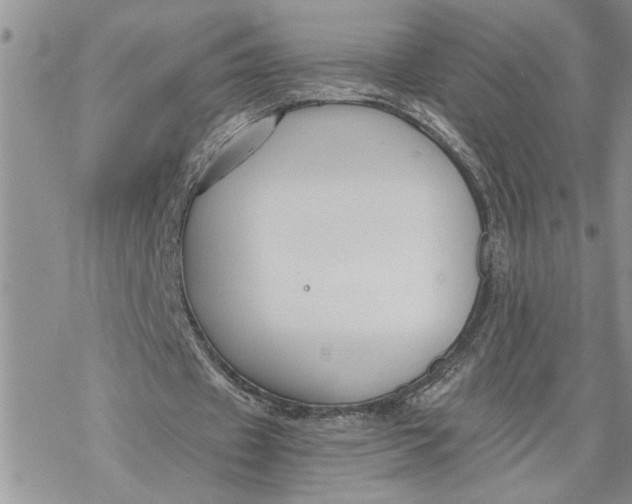 X0000069830433200606091449