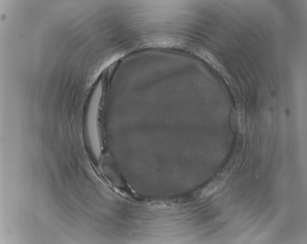 X0000069830434200606091449