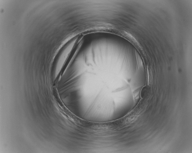 X0000069830435200606091450