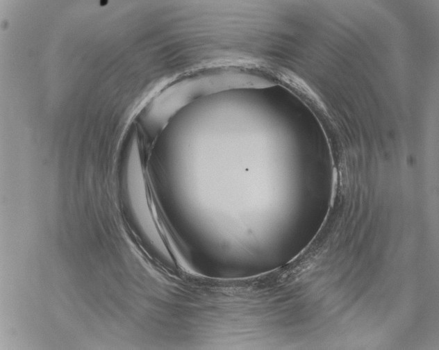 X0000069830436200606091450