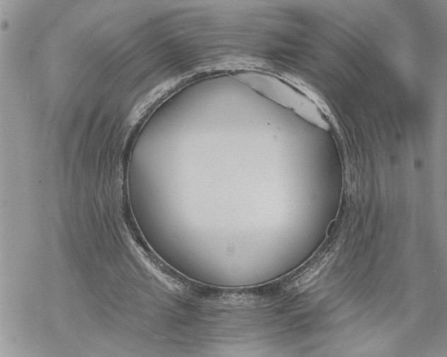 X0000069830437200606091450