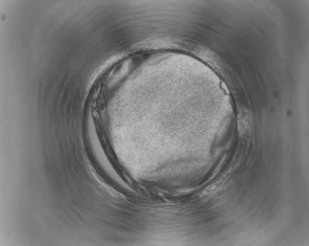 X0000069830438200606091450